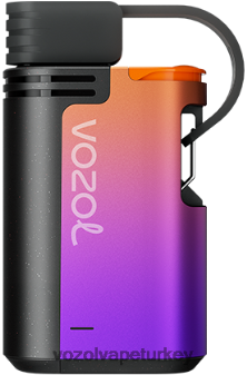 VOZOL Vape Turkey - VOZOL GEAR 4000c/6000 üzüm buzu F8JX24325