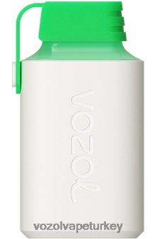 VOZOL Türkiye Satış - VOZOL GEAR 600 limonlu mojito F8JX24352