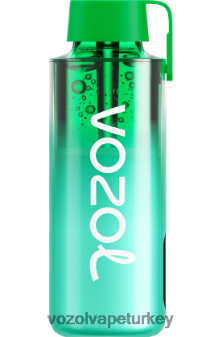 VOZOL Vape Amazon - VOZOL NEON 10000 Miami nanesi F8JX24229