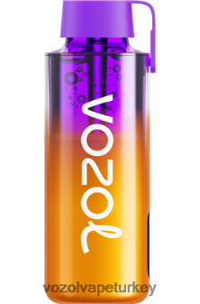 VOZOL Vape Turkey - VOZOL NEON 10000 karışık meyveler F8JX24235