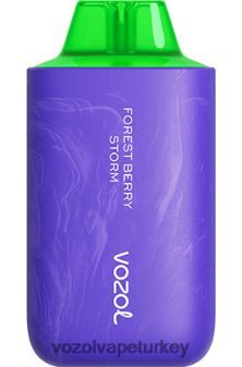 VOZOL Vape Amazon - VOZOL STAR 6000/8000 v2 orman meyvesi fırtınası F8JX2459