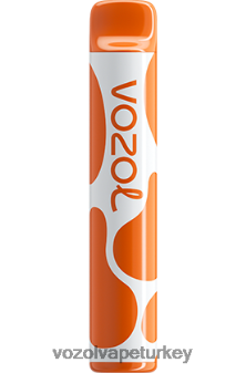 VOZOL Ankara - VOZOL JOYGO 600 mango buzu F8JX24386