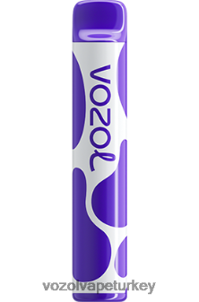 VOZOL Türkiye - VOZOL JOYGO 600 üzüm buzu F8JX24381