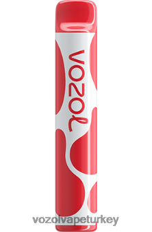 VOZOL Vape Amazon - VOZOL JOYGO 600 şeftalili buz F8JX24389