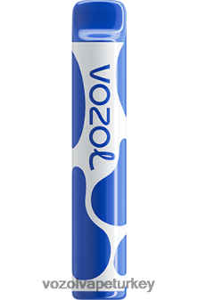 VOZOL Vape Review - VOZOL JOYGO 600 yaban mersini fırtınası F8JX24390