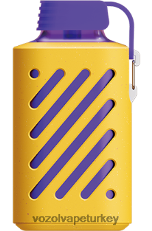 VOZOL Vape Amazon - VOZOL GEAR 10000 karışık meyveler F8JX24299