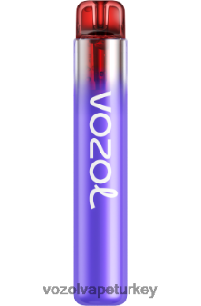 VOZOL Vape Amazon - VOZOL NEON 800 kızılcık limonu F8JX24269