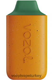 VOZOL Vape Review - VOZOL STAR 6000 mango şeftali karpuz F8JX24120